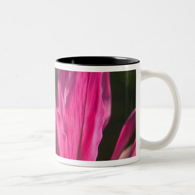 Tasse 2 Couleurs BAHAMAS, New Providence Island, Nassau :Paradis (Droit)
