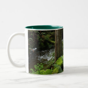 Tasse 2 Couleurs BC Forest Creek Ferns Wilderness Nature Drinkware