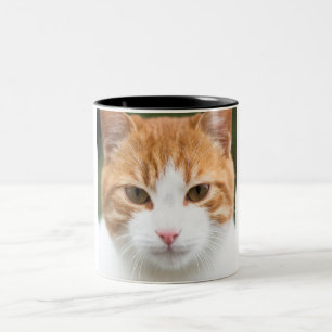 Tasse 2 Couleurs Beau chat rouge