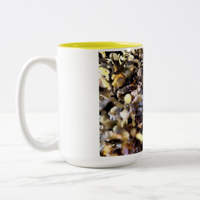 Tasse 2 Couleurs Beau Coquillage (Gauche)