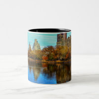 Beau paysage du Central Park NYC