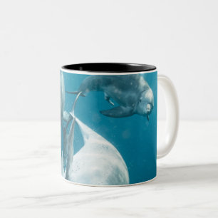 Tasse 2 Couleurs Beaux dauphins mignons