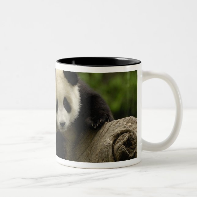 Tasse 2 Couleurs Bébé panda géant (Droit)