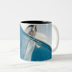 Tasse 2 Couleurs Belle Grosse Baleine