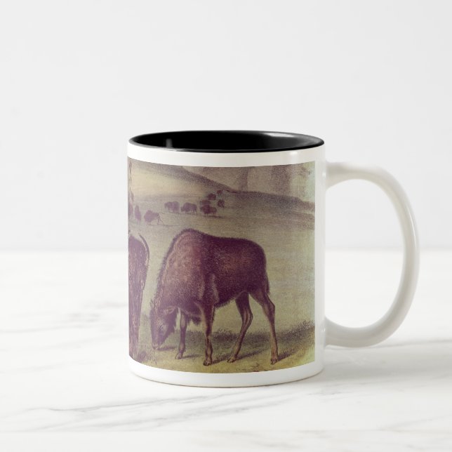 Tasse 2 Couleurs Bison américain ou Buffalo (Droit)