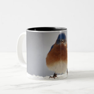 Tasse 2 Couleurs Bluebird