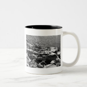Tasse 2 Couleurs Bois de dérive