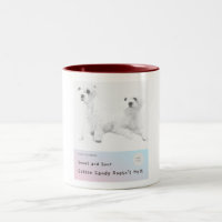 Bonbons de coton doux et aigre ne fond pas