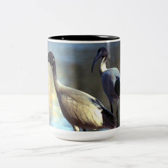 Tasse 2 Couleurs Boue d'oiseaux (Centre)