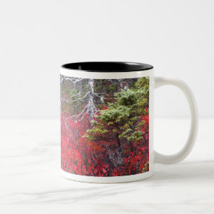 Tasse 2 Couleurs Buissons de myrtilles et pins