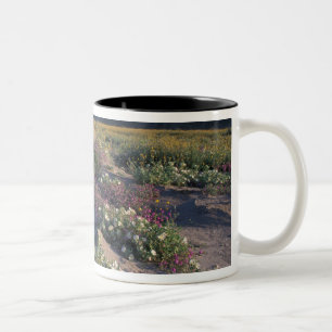 Tasse 2 Couleurs Californie, Anza-Borrego Desert SP, Sable