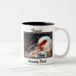 Tasse 2 Couleurs Canard de Muscovy femelle