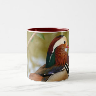 Tasse 2 Couleurs Canard mandarin