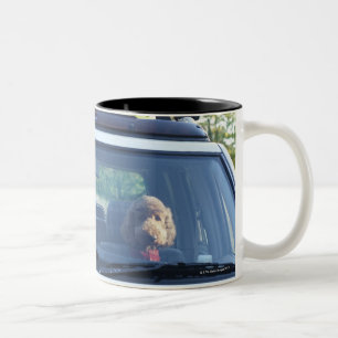 Tasse 2 Couleurs caniche standard 4