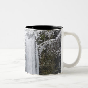 Tasse 2 Couleurs Cascade trouble entourée par une forêt de Milou
