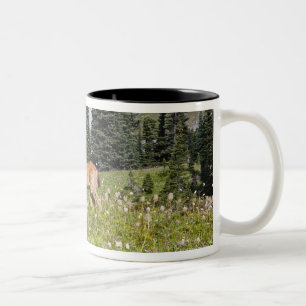 Tasse 2 Couleurs Cerfs communs en parc de paradis