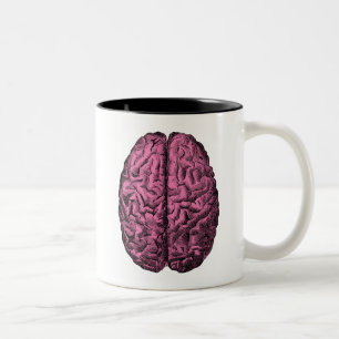 Tasse 2 Couleurs Cerveau humain d'anatomie