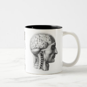 Tasse 2 Couleurs cerveau indiqué