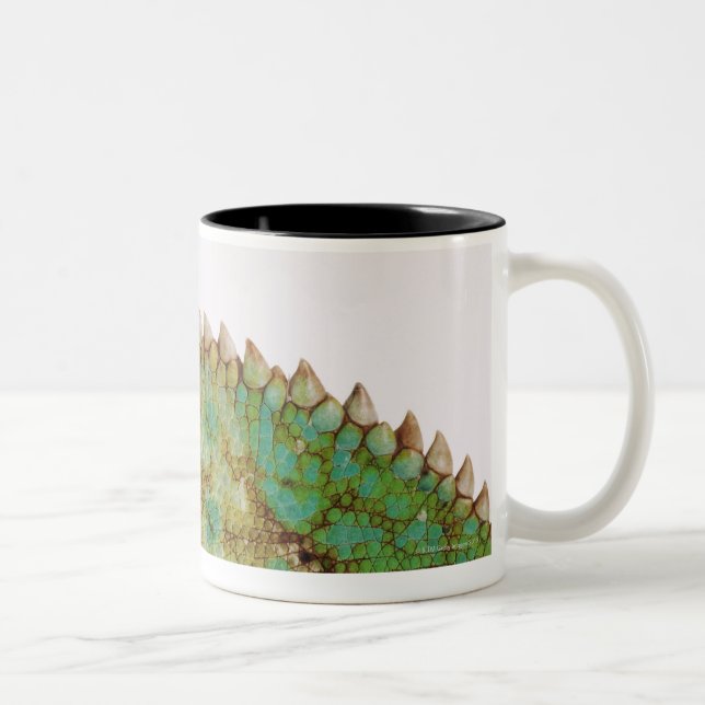 Tasse 2 Couleurs Changement de peau de caméléon (Droit)
