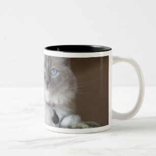 Tasse 2 Couleurs Chat à poupée femelle