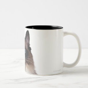 Tasse 2 Couleurs Chat de Ragdoll