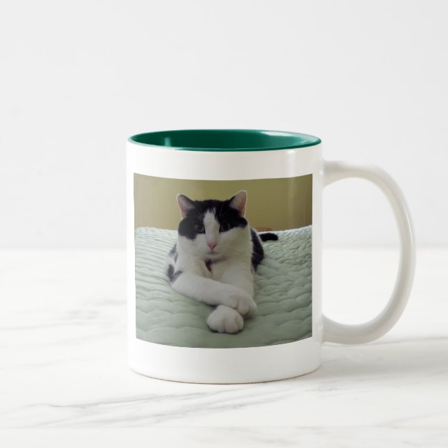 Tasse 2 Couleurs Chat - la vie est bonne (Droit)