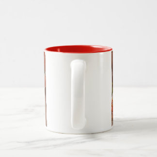 Tasse 2 Couleurs Chat persan