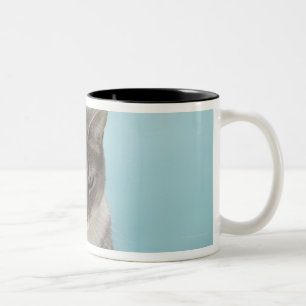 Tasse 2 Couleurs Chat regardant la souris de jouet sur la