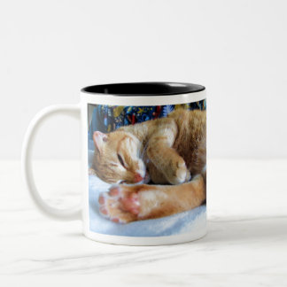 Tasse 2 Couleurs Chat somnolent paresseux de gingembre
