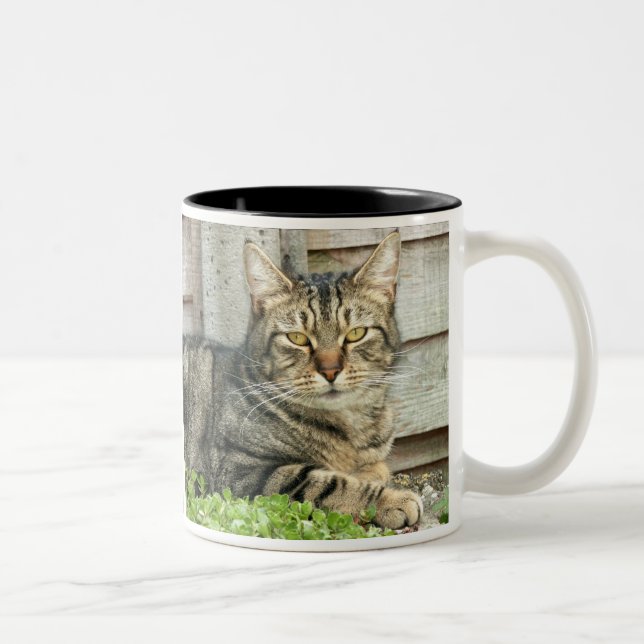 Tasse 2 Couleurs Chat tigré (Droit)