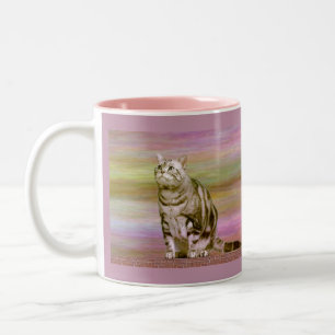 Tasse 2 Couleurs Chat tigré argenté