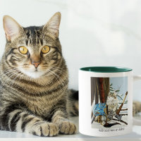 Chat Viking Bleu Dragon Fantastique