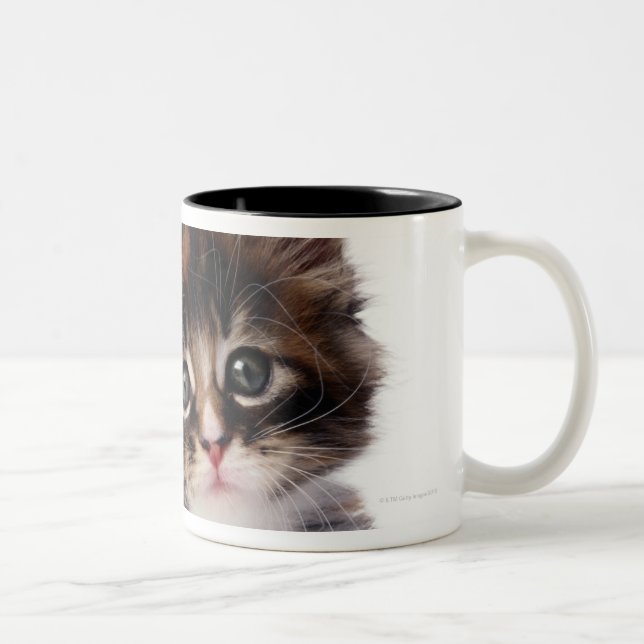 Tasse 2 Couleurs Chaton (Droit)