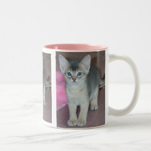 Tasse 2 Couleurs Chaton abyssinien six semaines de