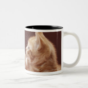 Tasse 2 Couleurs Chaton jouant avec l'ornement