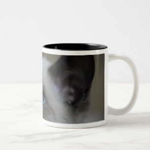 Tasse 2 Couleurs Chaton siamois