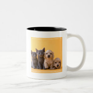 Tasse 2 Couleurs Chatons et chiots bleus russes de teckel