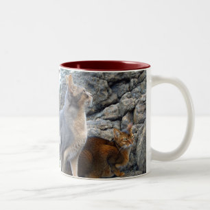 Tasse 2 Couleurs Chats abyssiniques frère et soeur
