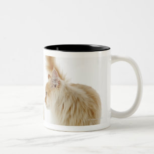 Tasse 2 Couleurs Chats de Munchkin