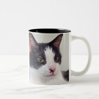Tasse 2 Couleurs Chats, thé et bon livre