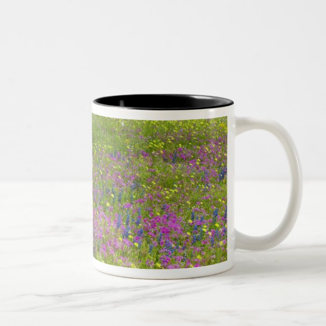 Tasse 2 Couleurs Chênes avec champ de Phlox, Bonnets Bleus (Droit)