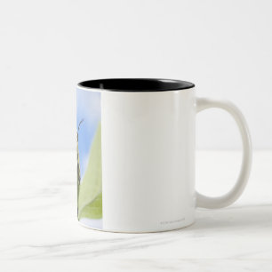 Tasse 2 Couleurs Chenille noire et jaune