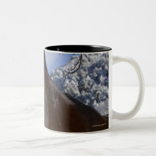 Tasse 2 Couleurs Cheval Brown en hiver
