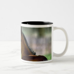 Tasse 2 Couleurs Cheval de pur sang, Irlande