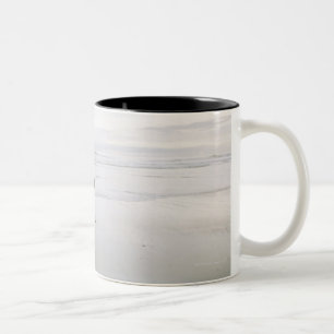 Tasse 2 Couleurs Cheval fonctionnant sur la plage