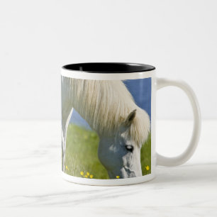 Tasse 2 Couleurs Chevaux islandais dans l'ouest de l'Islande.