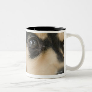 Tasse 2 Couleurs Chien