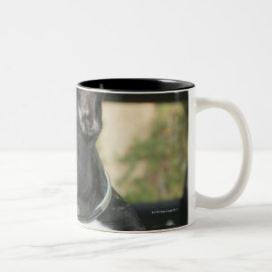 Tasse 2 Couleurs Chien dans la voiture