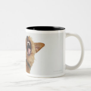 Tasse 2 Couleurs Chien de grondement