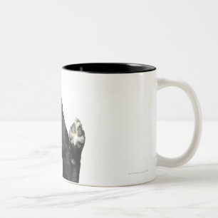 Tasse 2 Couleurs Chien se reposant avec des pattes